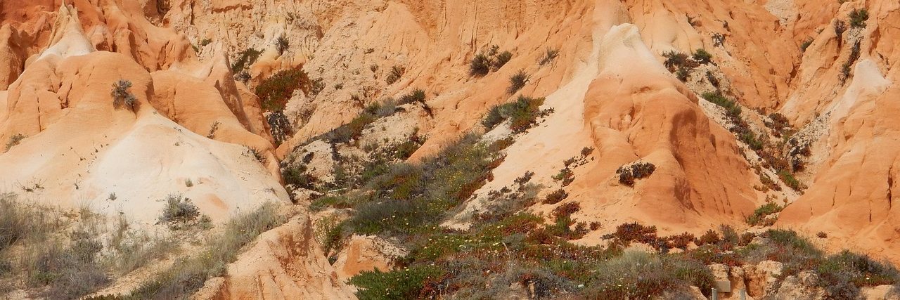 Red-ochre sandstone cliffs rising straight from an empty beach near Albufeira, scrub and pines along the top and the sand running out of frame to the left.