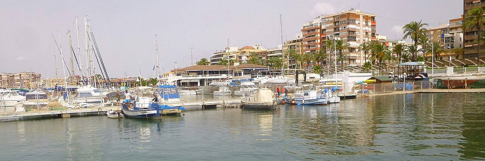 The harbour at Torrevieja, fishing and leisure boats moored along the pontoons with apartment blocks and palms on the quay behind.